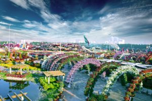 дубайский чудо сад, куда поехать на выходных в дубай, Парк цветов "Dubai Miracle Garden",Dubai Miracle Garden, парк цветов в Дубай, куда поехать на выходные заграницей, куда поехать на выходные в европе