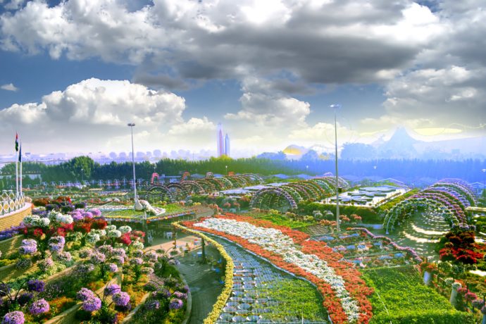 дубайский чудо сад, куда поехать на выходных в дубай, Парк цветов "Dubai Miracle Garden",Dubai Miracle Garden, парк цветов в Дубай, куда поехать на выходные заграницей, куда поехать на выходные в европе