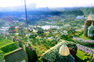 дубайский чудо сад, куда поехать на выходных в дубай, Парк цветов "Dubai Miracle Garden",Dubai Miracle Garden, парк цветов в Дубай, куда поехать на выходные заграницей, куда поехать на выходные в европе