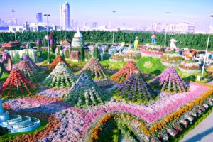 дубайский чудо сад, куда поехать на выходных в дубай, Парк цветов "Dubai Miracle Garden",Dubai Miracle Garden, парк цветов в Дубай, куда поехать на выходные заграницей, куда поехать на выходные в европе