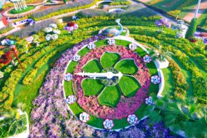 дубайский чудо сад, куда поехать на выходных в дубай, Парк цветов "Dubai Miracle Garden",Dubai Miracle Garden, парк цветов в Дубай, куда поехать на выходные заграницей, куда поехать на выходные в европе