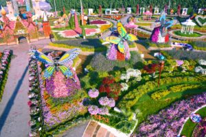 дубайский чудо сад, куда поехать на выходных в дубай, Парк цветов "Dubai Miracle Garden",Dubai Miracle Garden, парк цветов в Дубай, куда поехать на выходные заграницей, куда поехать на выходные в европе