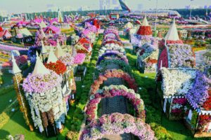 дубайский чудо сад, куда поехать на выходных в дубай, Парк цветов "Dubai Miracle Garden",Dubai Miracle Garden, парк цветов в Дубай, куда поехать на выходные заграницей, куда поехать на выходные в европе