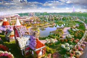 дубайский чудо сад, куда поехать на выходных в дубай, Парк цветов "Dubai Miracle Garden",Dubai Miracle Garden, парк цветов в Дубай, куда поехать на выходные заграницей, куда поехать на выходные в европе