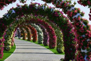 дубайский чудо сад, куда поехать на выходных в дубай, Парк цветов "Dubai Miracle Garden",Dubai Miracle Garden, парк цветов в Дубай, куда поехать на выходные заграницей, куда поехать на выходные в европе
