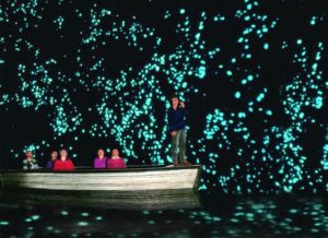 Пещеры Вайтомо (Waitomo Caves),Пещеры Вайтомо Новая Зеландия, куда поехать на выходные в Новой Зеландии, достопримечательности Новой Зеландии, как добраться пещеры Вайтомо