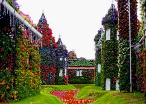 дубайский чудо сад, куда поехать на выходных в дубай, Парк цветов "Dubai Miracle Garden",Dubai Miracle Garden, парк цветов в Дубай, куда поехать на выходные заграницей, куда поехать на выходные в европе