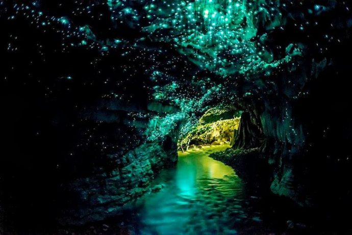 Пещеры Вайтомо (Waitomo Caves),Пещеры Вайтомо Новая Зеландия, куда поехать на выходные в Новой Зеландии, достопримечательности Новой Зеландии, как добраться пещеры Вайтомо