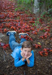 миграция красных крабов, миграция красных крабов на острове Рождества, куда поехать на выходные Австралия,, куда поехать на выходные остров Рождества