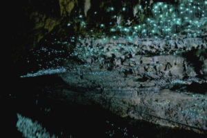 Пещеры Вайтомо (Waitomo Caves),Пещеры Вайтомо Новая Зеландия, куда поехать на выходные в Новой Зеландии, достопримечательности Новой Зеландии, как добраться пещеры Вайтомо