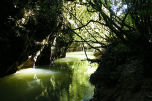 Пещеры Вайтомо (Waitomo Caves),Пещеры Вайтомо Новая Зеландия, куда поехать на выходные в Новой Зеландии, достопримечательности Новой Зеландии, как добраться пещеры Вайтомо
