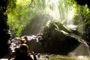 Пещеры Вайтомо (Waitomo Caves),Пещеры Вайтомо Новая Зеландия, куда поехать на выходные в Новой Зеландии, достопримечательности Новой Зеландии, как добраться пещеры Вайтомо