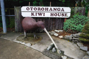 Пещеры Вайтомо (Waitomo Caves),Пещеры Вайтомо Новая Зеландия, куда поехать на выходные в Новой Зеландии, достопримечательности Новой Зеландии, как добраться пещеры Вайтомо