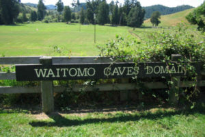Пещеры Вайтомо (Waitomo Caves),Пещеры Вайтомо Новая Зеландия, куда поехать на выходные в Новой Зеландии, достопримечательности Новой Зеландии, как добраться пещеры Вайтомо