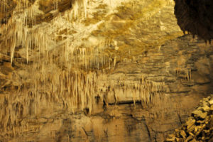 Пещеры Вайтомо (Waitomo Caves),Пещеры Вайтомо Новая Зеландия, куда поехать на выходные в Новой Зеландии, достопримечательности Новой Зеландии, как добраться пещеры Вайтомо