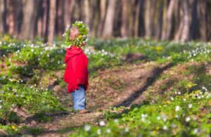 куда поехать на выходные в Украине весной, куда поехать в Украине, куда поехать на выходные в Украине