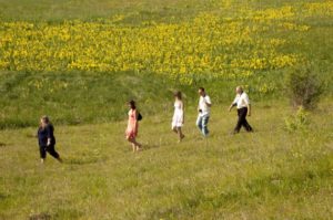 кула поехать на выходные в Украине весной, куда поехать на выходные в Виннице,долина ирисов, цветение диких ирисов