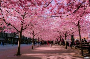 куда поехать на выходные в Украине весной, куда поехать в Украине, куда поехать на выходные в Украине