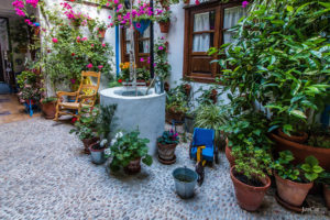 Фестиваль патио в Кордове-самые красивые дворики в мире!