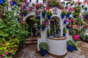 Фестиваль патио в Кордове-самые красивые дворики в мире!