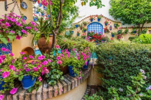 Фестиваль патио в Кордове-самые красивые дворики в мире!