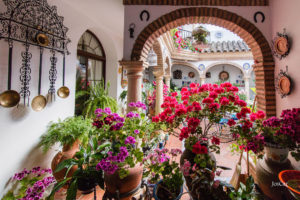 Фестиваль патио в Кордове-самые красивые дворики в мире!