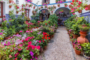 Фестиваль патио в Кордове-самые красивые дворики в мире!