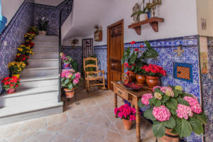 Фестиваль патио в Кордове-самые красивые дворики в мире!