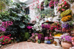 Фестиваль патио в Кордове-самые красивые дворики в мире!