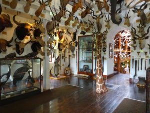 Замок Данробин (Dunrobin Castle) Шотландия, куда поехать на выходные в Шотландии, куда поехать на выходные в Европе, куда слетать на выходные в Европу, Соколиная охота в Европе, соколиная охота посмотреть