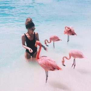 куда поехать на выходные аруба, куда поехать на выходные пляж розовых фламинго, пляж розовых фламинго фото, где пляж розовых фламинго, куда слетать на выходные