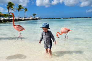 куда поехать на выходные аруба, куда поехать на выходные пляж розовых фламинго, пляж розовых фламинго фото, где пляж розовых фламинго, куда слетать на выходные