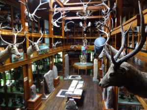 Замок Данробин (Dunrobin Castle) Шотландия, куда поехать на выходные в Шотландии, куда поехать на выходные в Европе, куда слетать на выходные в Европу, Соколиная охота в Европе, соколиная охота посмотреть