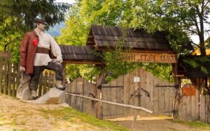 куда поехать на выходные в Украине,куда поехать на выходные в Закарпатье, куда поехать на выходные в Карпаты, Долина крокусов Колочава