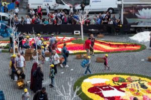 Цветочный ковер в Брюсселе, Цветочный ковер в Брюсселе Бельгия, куда поехать на выходные в Европе, куда слетать на выходные в Европу, куда поехать на выходные в Бельгии, когда цветочный ковер в Брюсселе в 2018 году