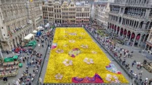 Цветочный ковер в Брюсселе, Цветочный ковер в Брюсселе Бельгия, куда поехать на выходные в Европе, куда слетать на выходные в Европу, куда поехать на выходные в Бельгии, когда цветочный ковер в Брюсселе в 2018 году