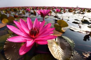 куда поехать на выходные, что посмотреть в Таиланде, интересные места