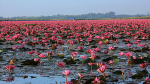 куда поехать на выходные, что посмотреть в Таиланде, интересные места
