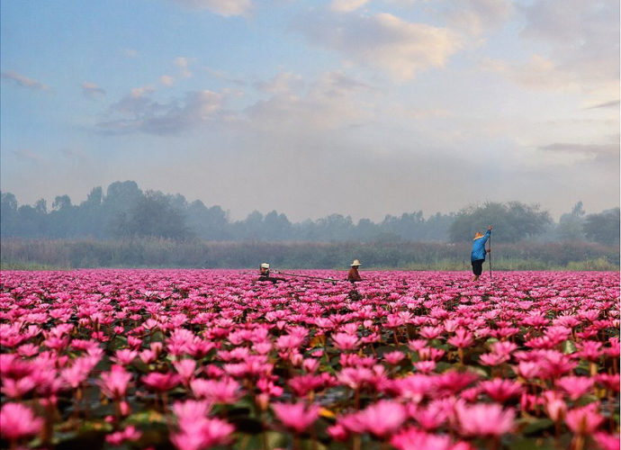 куда поехать на выходные, что посмотреть в Таиланде, интересные места