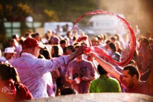 Винные бои в Аро,Винные бои в Испании, куда поехать на выходные в Европу, куда на выходные слетать в Европу, фестивали Испании