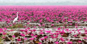 куда поехать на выходные, что посмотреть в Таиланде, интересные места