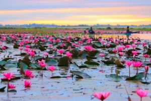 куда поехать на выходные, что посмотреть в Таиланде, интересные места