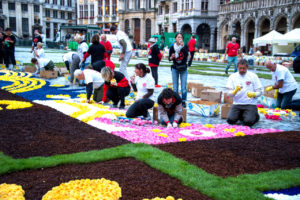 Цветочный ковер в Брюсселе, Цветочный ковер в Брюсселе Бельгия, куда поехать на выходные в Европе, куда слетать на выходные в Европу, куда поехать на выходные в Бельгии, когда цветочный ковер в Брюсселе в 2018 году