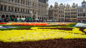 Цветочный ковер в Брюсселе, Цветочный ковер в Брюсселе Бельгия, куда поехать на выходные в Европе, куда слетать на выходные в Европу, куда поехать на выходные в Бельгии, когда цветочный ковер в Брюсселе в 2018 году