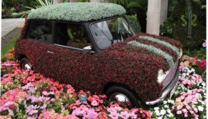 выставка цветов в Королевских Садах Великобритании, выставка цветов в Челси 2018, выставка цветов в Челси, куда поехать на выходные в Еврпе, куда слетать на выходные в Европу, интересные места в Европе,выставка цветов в Лондоне