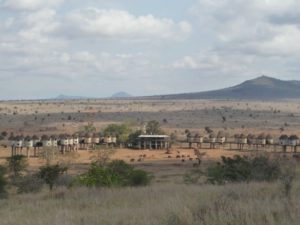 куда поехать на выходные в Африку, куда слетать на выходные в Африку, интересные места в Африке, отель с водопоем для животных, отель где можно увидеть животных, необычный отель, лучший отель