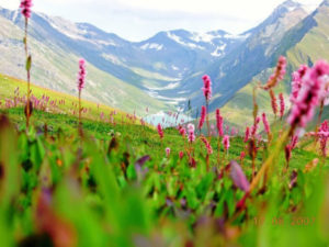 нанда деви индия,нанда деви индия как добраться, куда поехать на выходные в Индии, куда поехать на выходные в Европу, долина цветов Индия как добраться