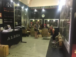 Альберобелло трулли в Италии. Альберобелло фото,Winery and Museum Cantina Albea Alberobello