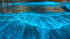 светящийся пляж Мальдив, светящийся пляж острова Ваадху