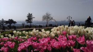 инстаграмные места Стамбула, лучшие локации Стамбула для фото, красивые фото Стамбула